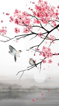 Cherry Blossom Wallpaper 15