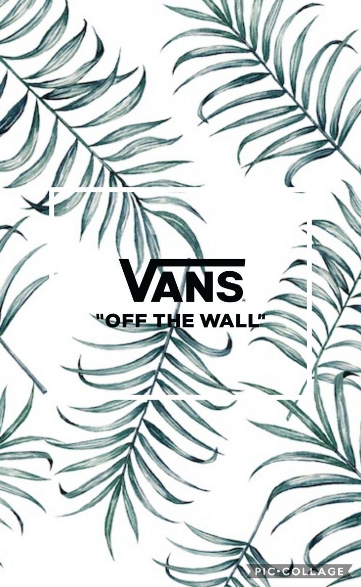 Vans Wallpaper 1