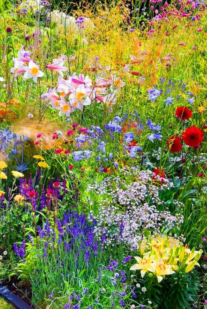 Cottagecore Wallpaper 1 Cottagecore Wallpaper 1