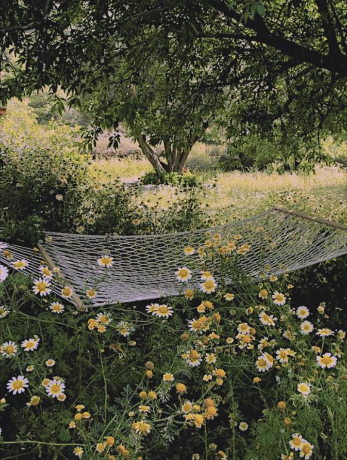 Cottagecore Wallpaper 1 Cottagecore Wallpaper 1