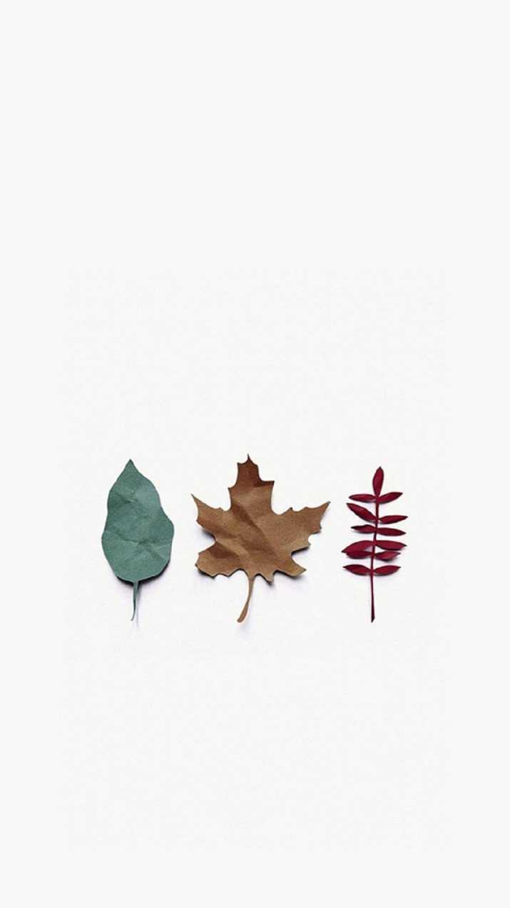 Autumn iphone wallpaper 1