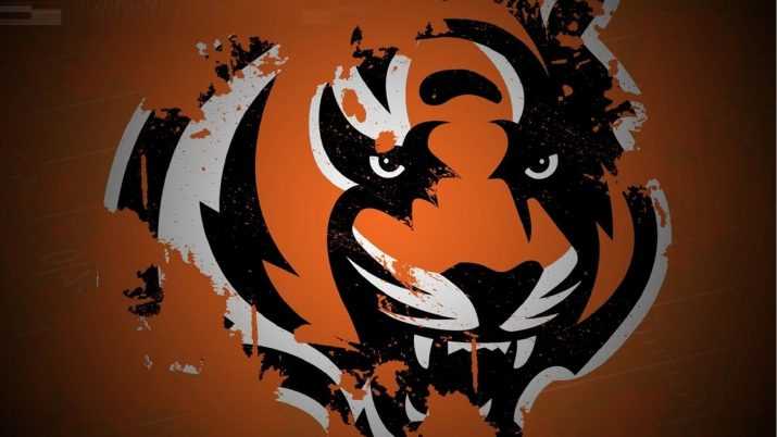 Bengals Wallpaper 1