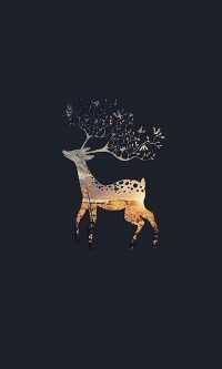 Deer Wallpaper 6