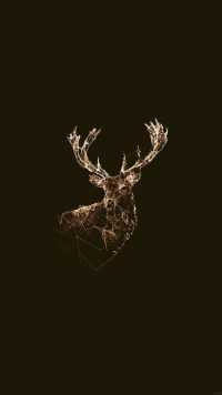 Deer Wallpaper 15