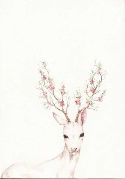White Deer Wallpaper 1