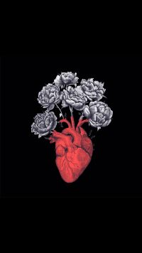 Medical Wallpaper 15