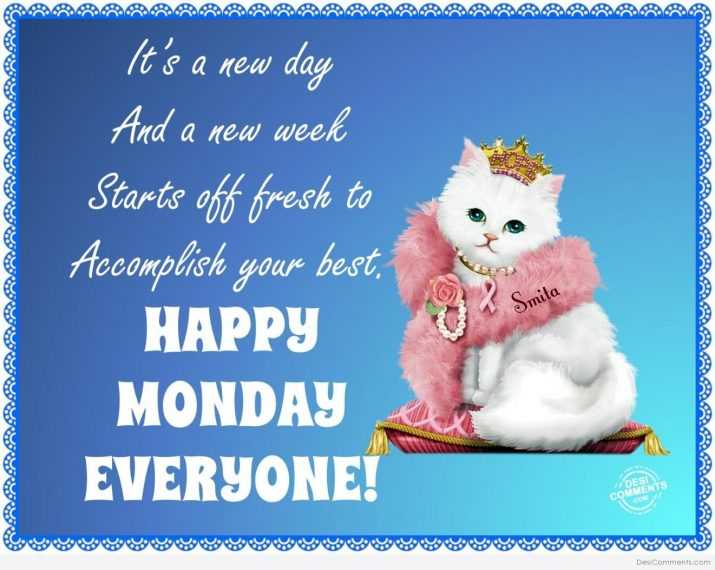 Monday Blessings Images Cat 1