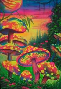 Iphone Trippy Mushroom Wallpaper 15