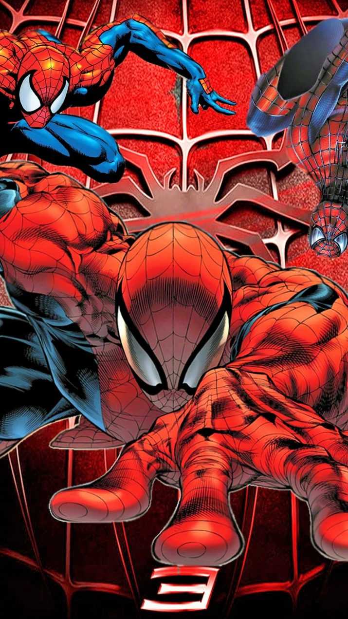 All Three Spider Man Wallpaper Phone 1 All Three Spider Man Wallpaper Phone 1