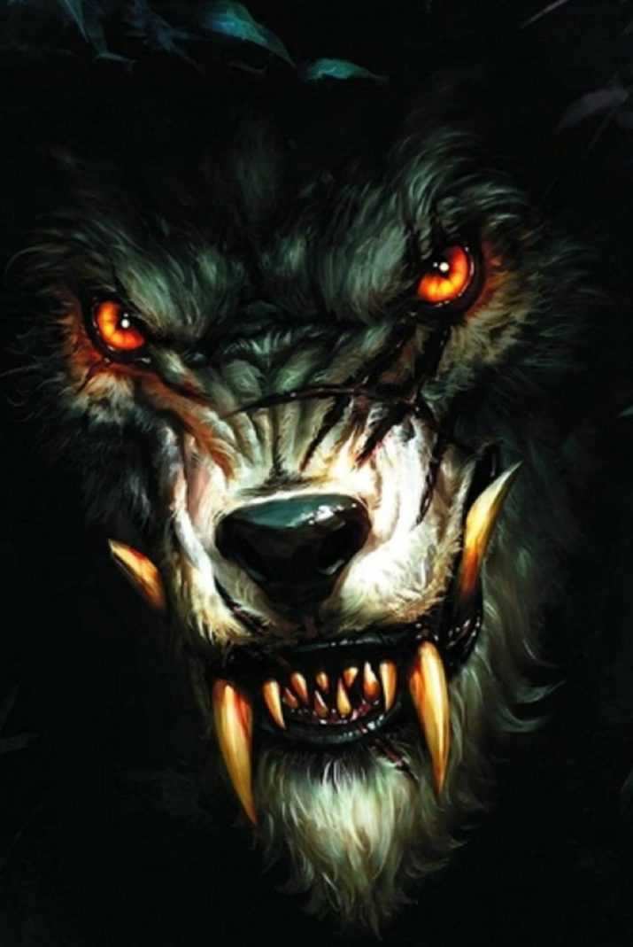 Wolf Badass Wallpaper 1 Wolf Badass Wallpaper 1