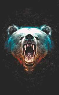 Phone Bear Wallpaper 44