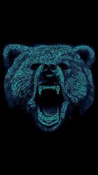 Hd Bear Wallpaper 46