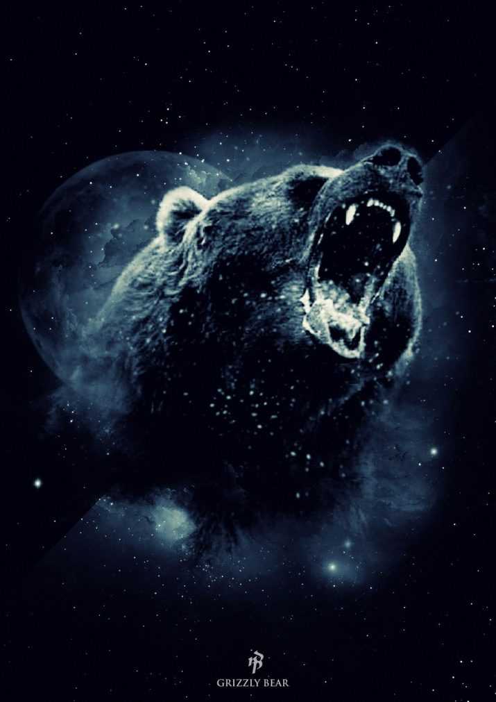 Night Bear Wallpaper 1