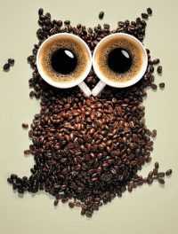Owl Coffee Wallpaper 6