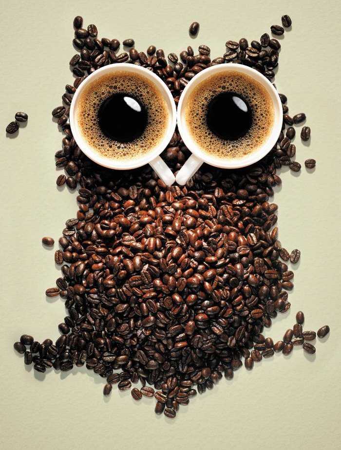 Owl Coffee Wallpaper 1