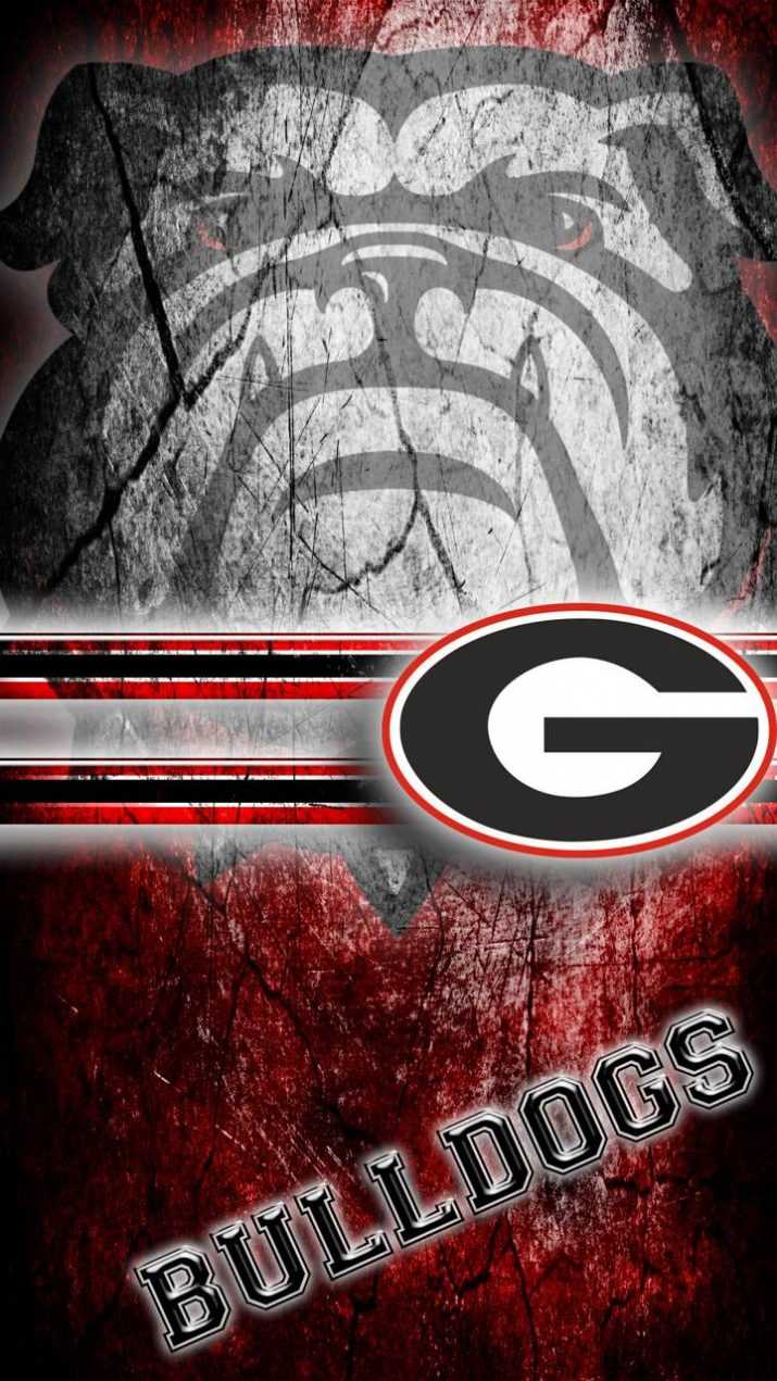Hd Georgia Bulldogs Wallpaper 1