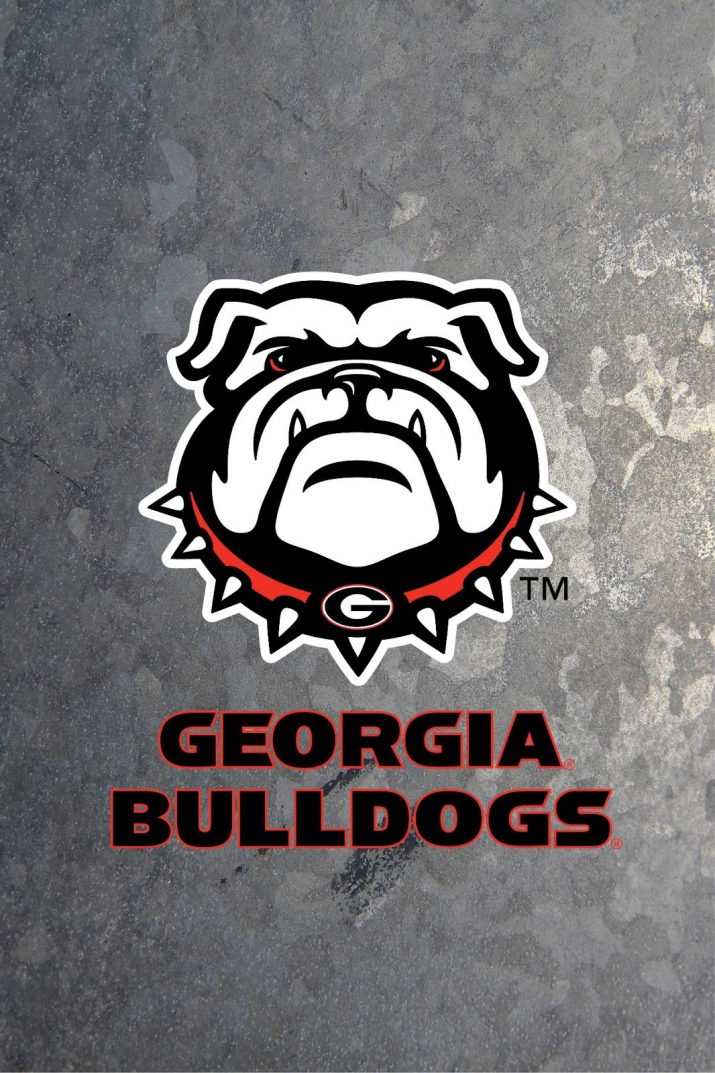 Grey Georgia Bulldogs Wallpaper 1