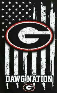 American Flag Georgia Bulldogs Wallpaper 10