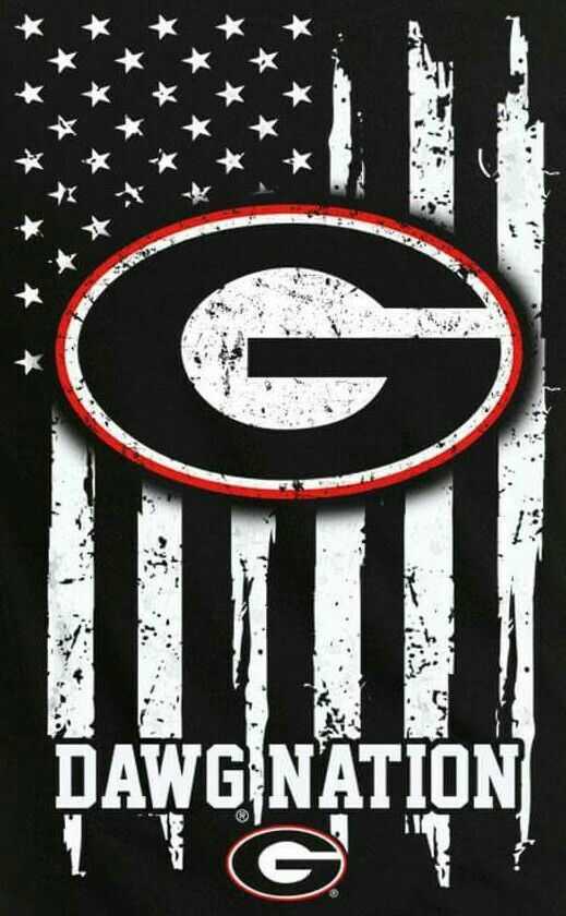 American Flag Georgia Bulldogs Wallpaper - Wallpaper Sun