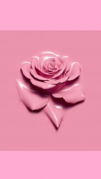 Pink Aesthetic Wallpaper Rose 34