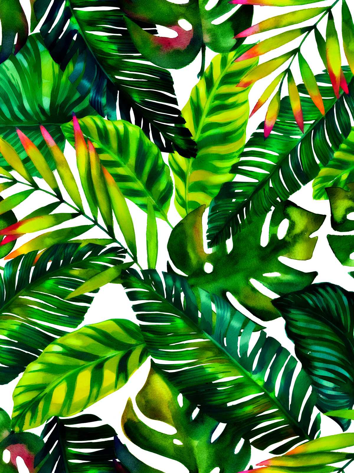 Cool Plant Wallpaper 1
