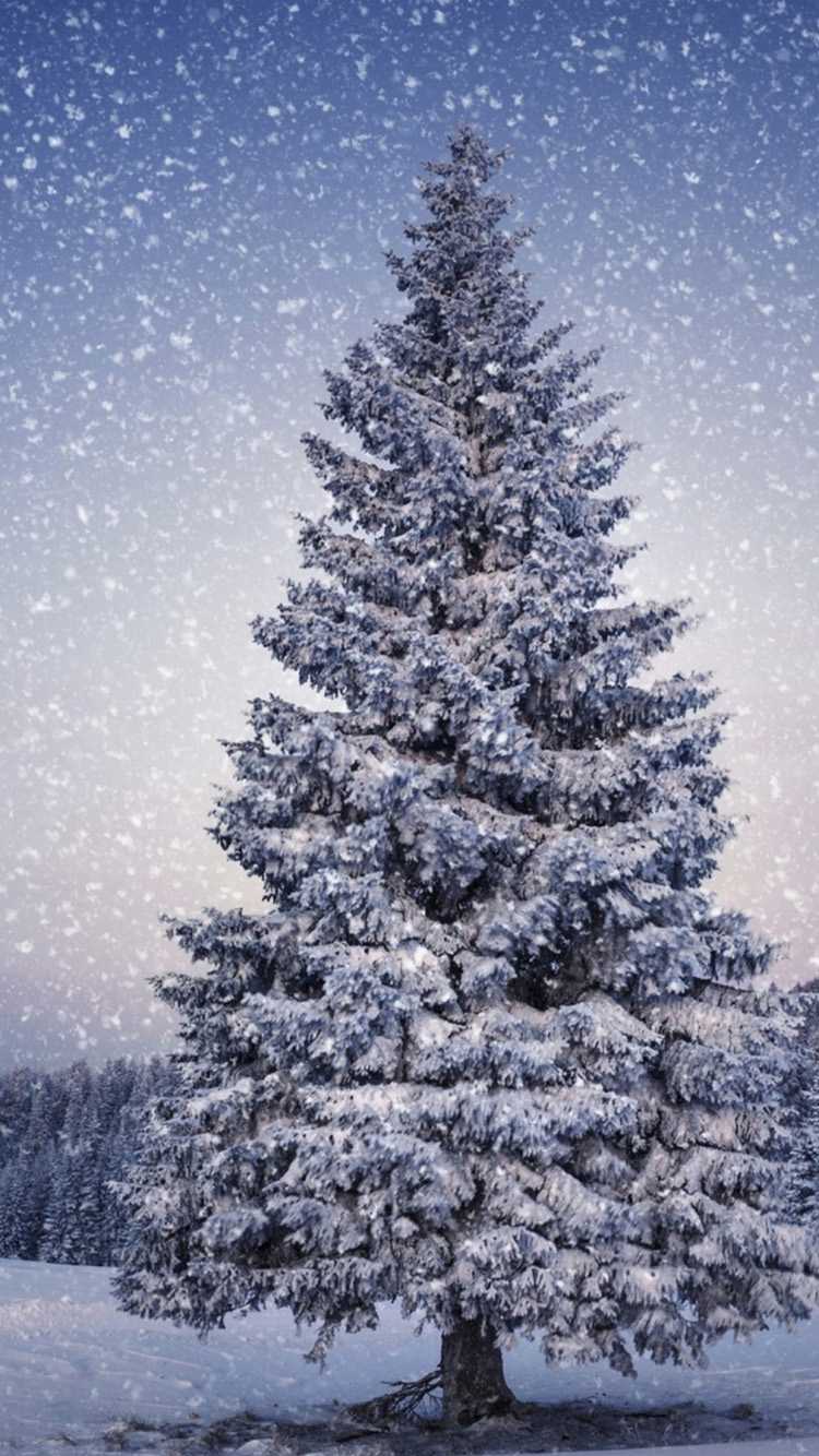 Tree Snow Wallpaper 1