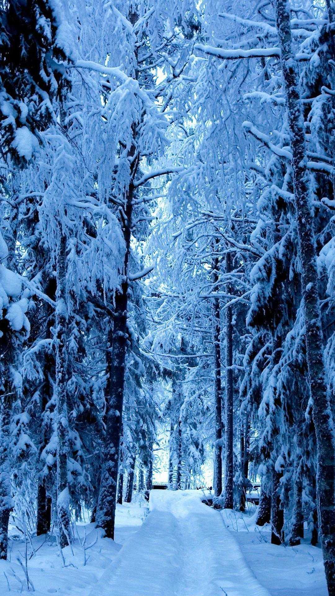 Iphone Snow Wallpapers 1