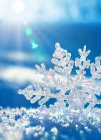 Cute Snow Wallpaper 34