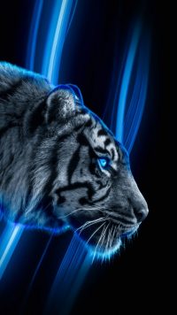 Dark Blue Tiger Wallpaper 22