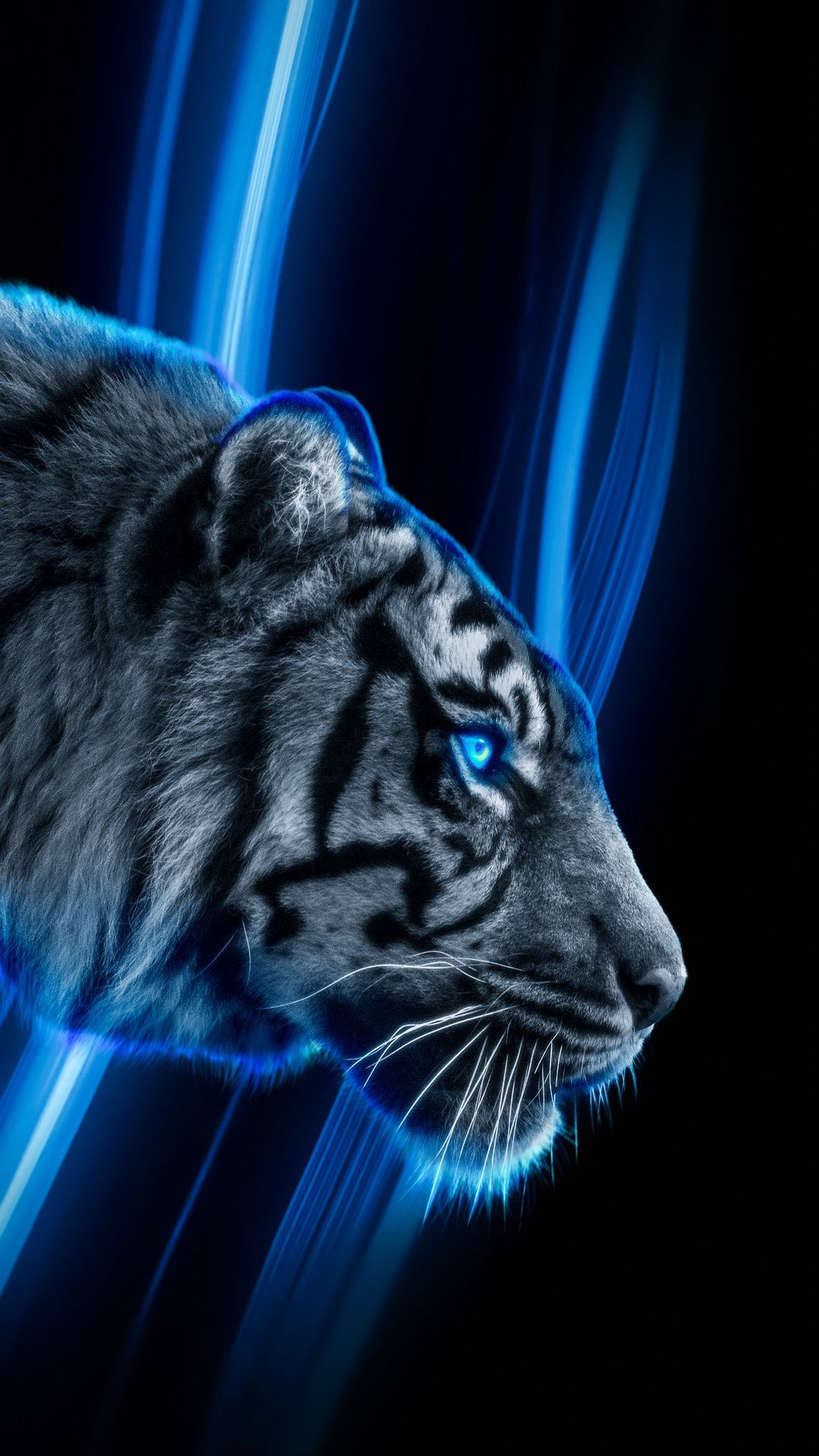 Dark Blue Tiger Wallpaper 1