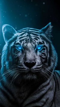 Blue Tiger Wallpaper 4