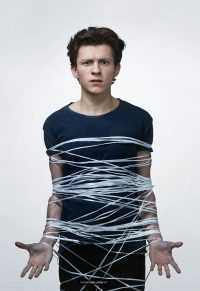 Web Tom Holland Wallpaper 24