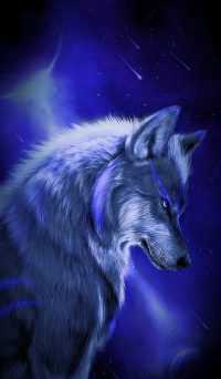 Android Blue Wolf Wallpaper 34
