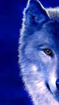 1080p Blue Wolf Wallpaper 20