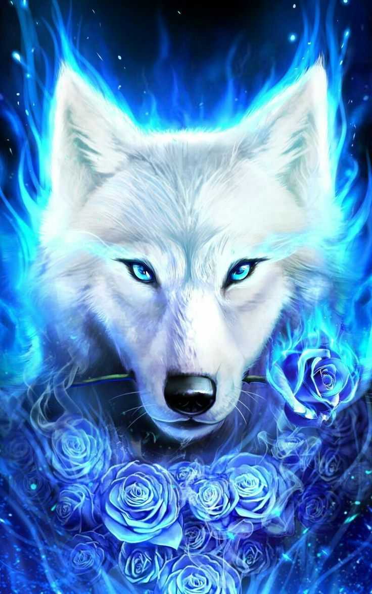 Cute Blue Wolf Wallpaper 1