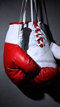 Android Boxing Wallpaper 18