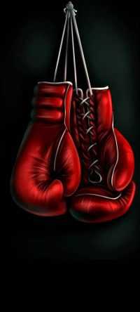 Free Boxing Wallpaper 45