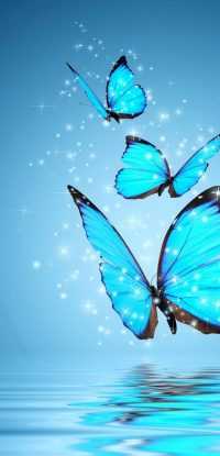 Baby Blue Butterflies Wallpaper 13