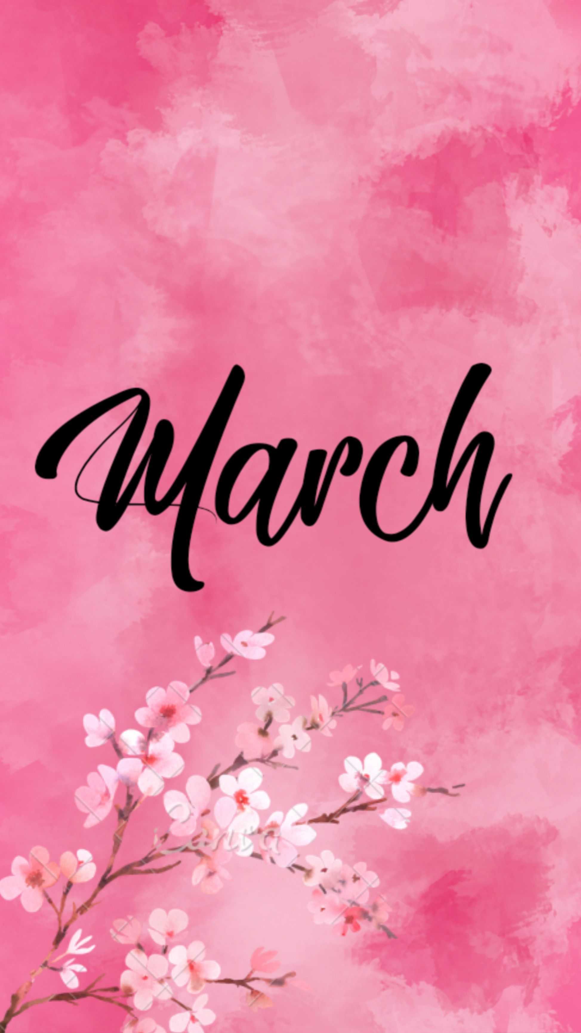 Pink March Wallpaper 1