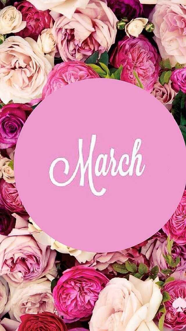 Roses March Wallpaper 1