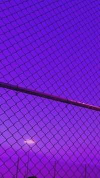 Wire Netting Purple Aesthetic Wallpaper 9