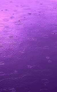 Rain Purple Aesthetic Wallpaper 13