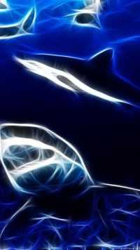 Dark Blue Shark Wallpaper 32