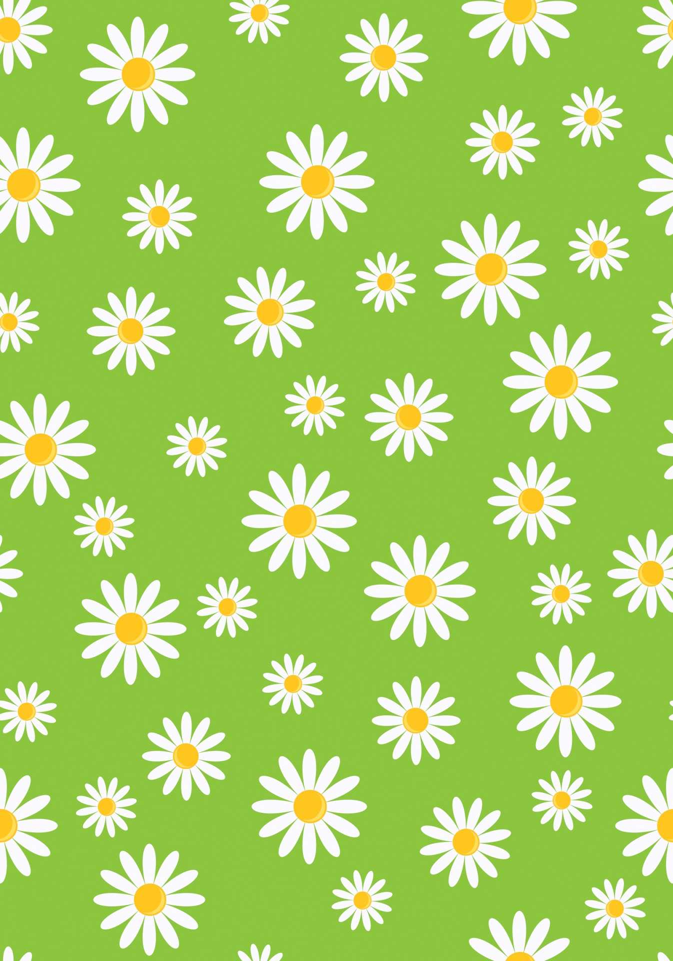 Sage Green Daisy Wallpaper 1 Sage Green Daisy Wallpaper 1