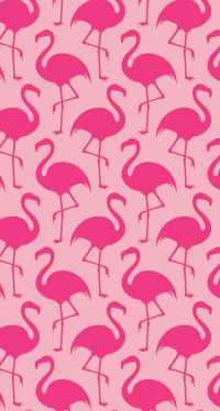 Preppy Flamingo Wallpaper 14