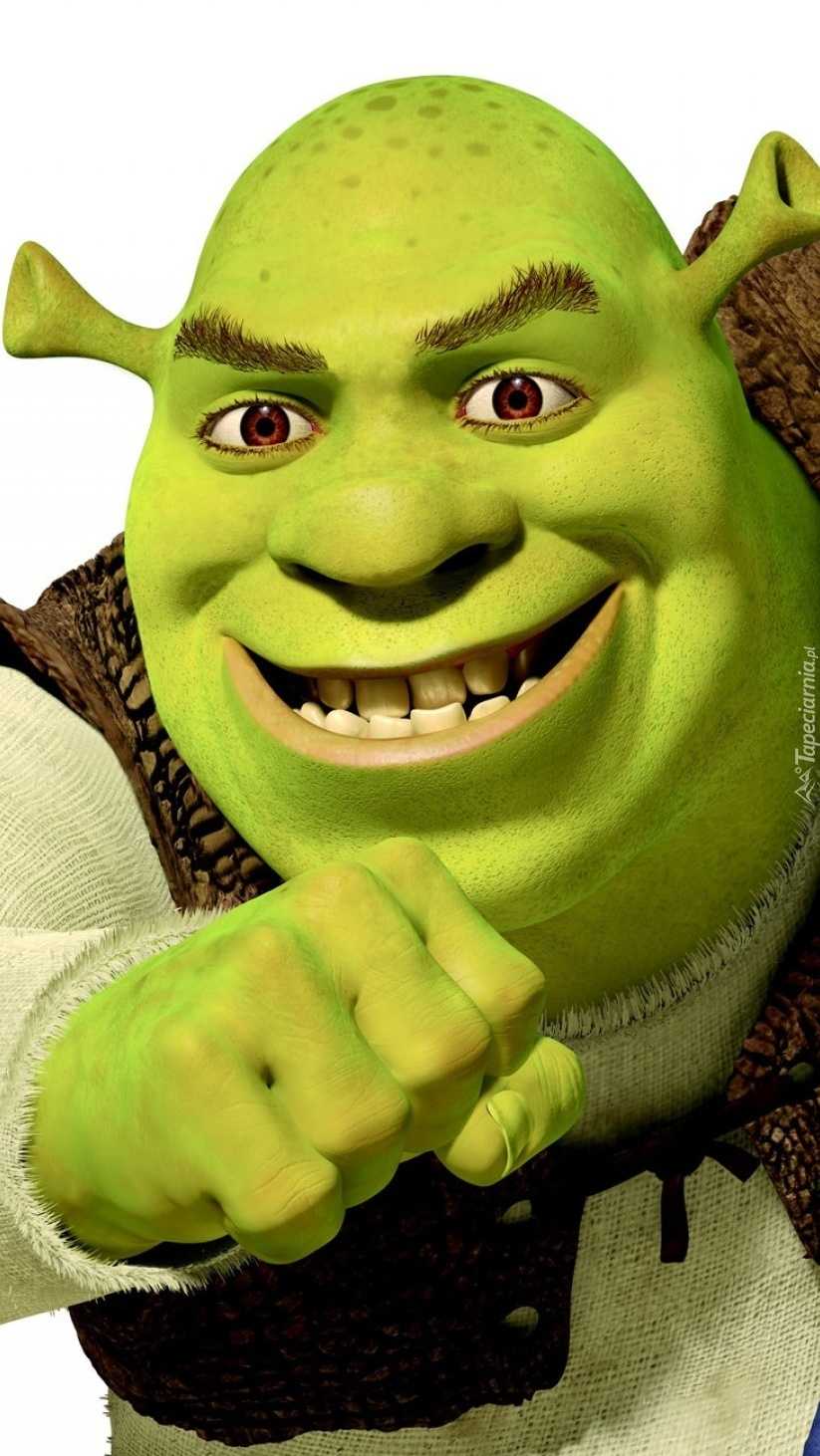 Shrek Wallpaper Meme 1