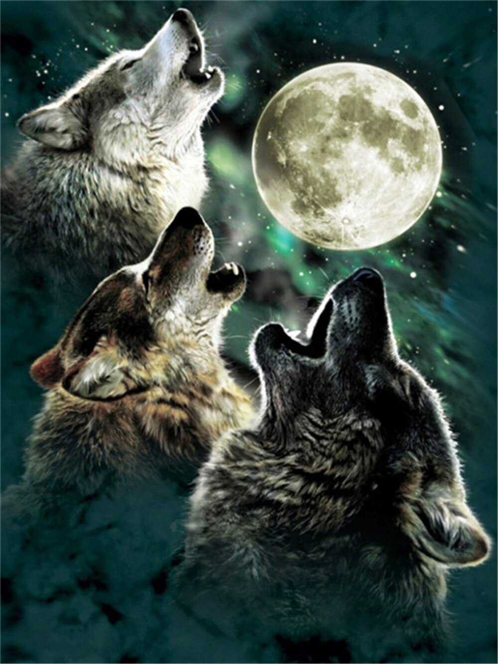 Three Wolves Wallpaper 1