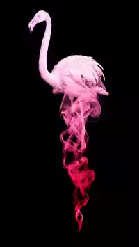 Smoke Flamingo Wallpaper 11