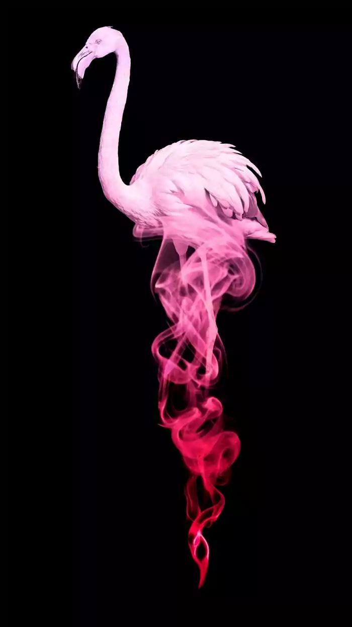 Smoke Flamingo Wallpaper 1