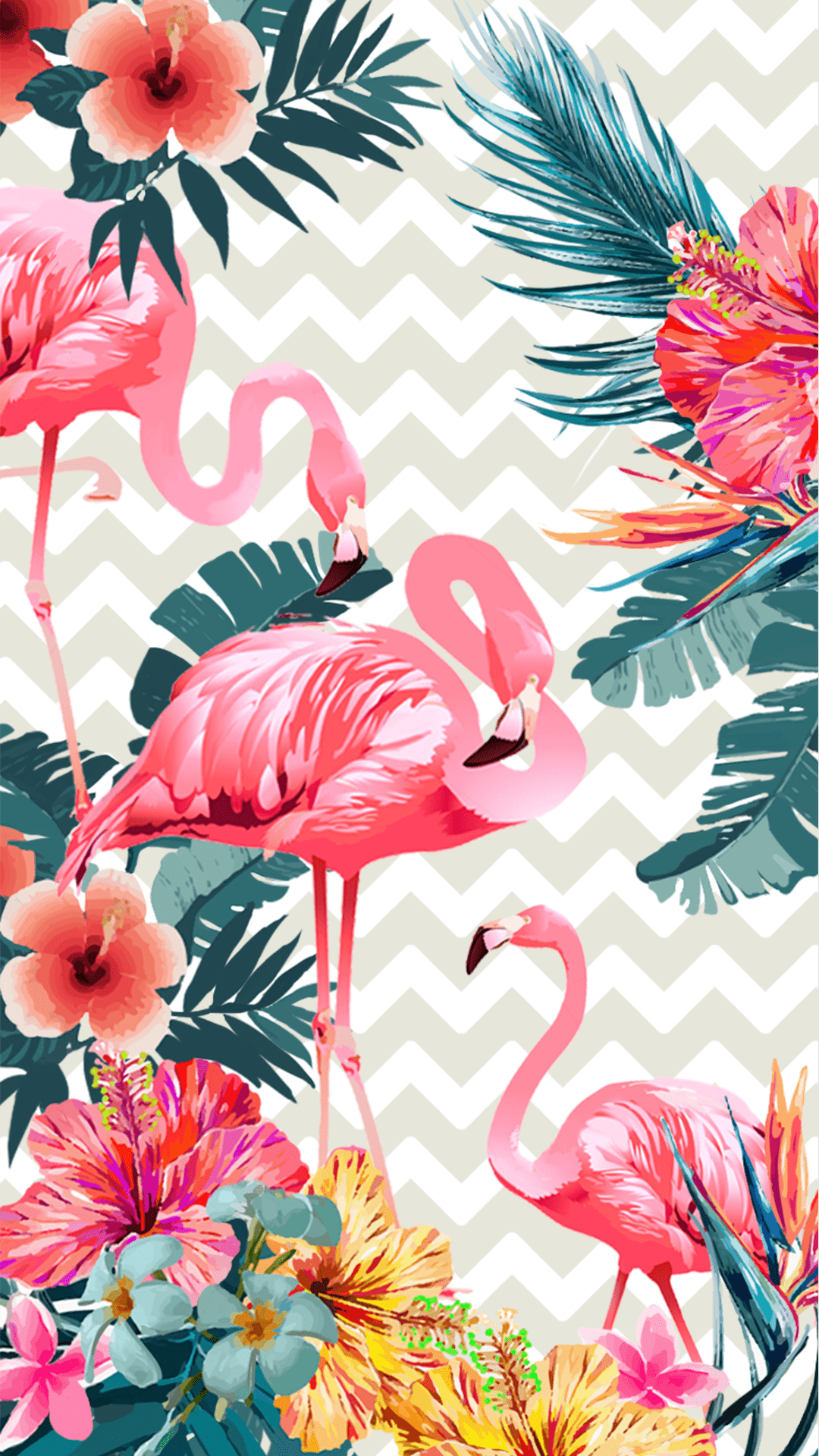 Uhd Flamingo Wallpaper 1